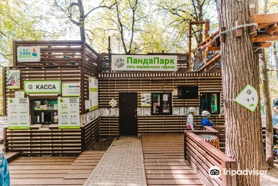 ПандаПарк Фили, Москва: лучшие советы перед посещением - Tripadvisor