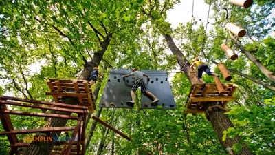 Поздравление Панды - на День Рождения