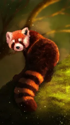 Обои Красная панда, гигантская панда, живопись, наземные животные, морда на  телефон Android, 1080x1920 картинки и фото бесплатно