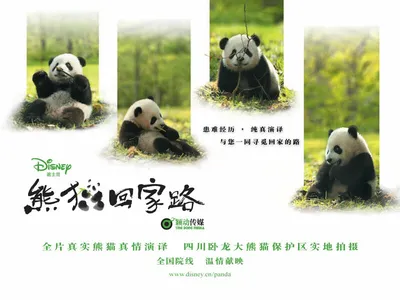 Картинки на тему #panda - в Шедевруме