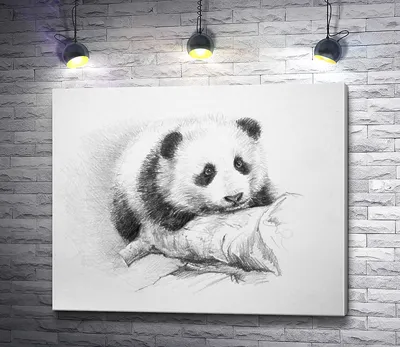 милая маленькая панда играет с бабочкой PNG , панда клипарт, акварель, день  рождения PNG картинки и пнг рисунок для бесплатной загрузки