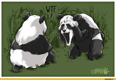 красивые картинки :: малая панда :: панда :: art (арт) / картинки, гифки,  прикольные комиксы, интересные статьи по теме.