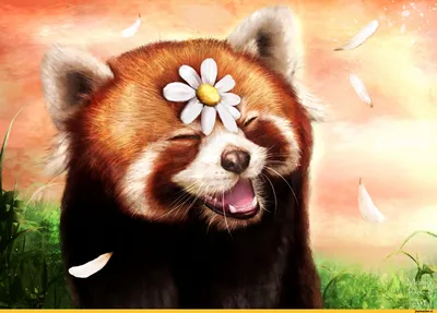 Панда с тортом: открытки с днём рождения - instapik | Рождение панды, С  днем рождения, Смешные поздравительные открытки