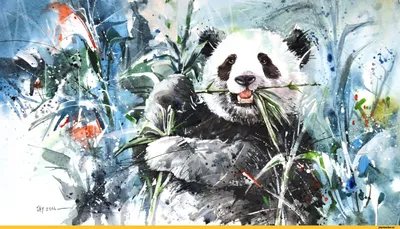 красивые картинки :: красная панда :: Pixxus :: панда :: art (арт) /  картинки, гифки, прикольные комиксы, интересные статьи по теме.