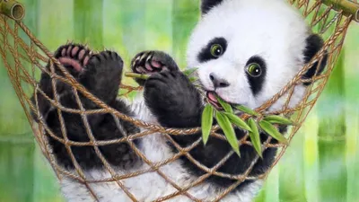 Обои Маленькая Панда Животные Панды, обои для рабочего стола, фотографии  маленькая панда, животные, панды, маленькая, панда Обои для рабочего стола,  скачать обои картинки заставки на рабочий стол.