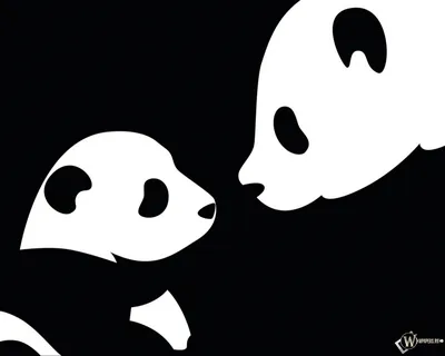 Скачать обои Две панды (Панда, Ребёнок, Черно-белое, Мама) для рабочего  стола 1280х1024 (5:4) бесплатно, Фото Две панды Панда, Ребёнок,  Черно-белое, Мама на рабочий стол. | WPAPERS.RU (Wallpapers).
