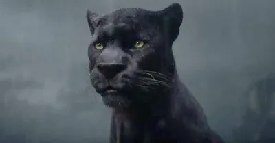 Купить Садовая фигура Багира черная пантера в Москве