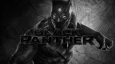 Hd Black Panther Animals Forest Hero Marvel Movie Super NailMatte Finish  Poster Paper Print - Movies posters in India - Buy art, film, design,  movie, music, nature and educational paintings/wallpapers at Flipkart.com