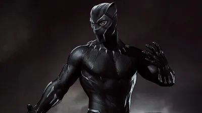 Animal Black Panther HD Wallpaper