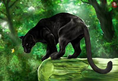 Черная пантера - обои для рабочего стола, картинки, фото