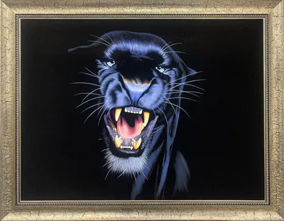 Pantera с голубыми глазами иллюстрация штока. иллюстрации насчитывающей  пума - 59984069
