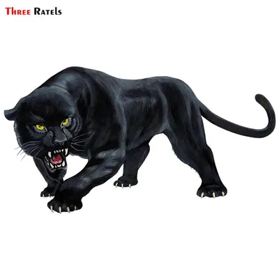 Купить TRL570 #15X8 см наклейка с изображением животного Черная пантера  ревКрасочные забавные наклейки на автомобиль и наклейки | Joom
