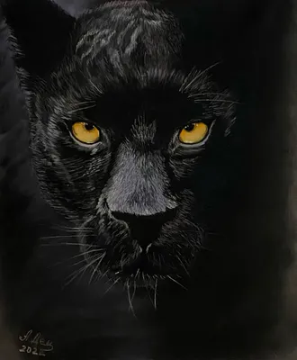 Картина пастельными карандашами и сухой пастелью «Чёрная пантера» – купить  онлайн на Ярмарке Мастеров – QDIL2RU | Картины, Подольск