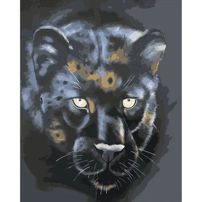 Картина по номерам Color Kit Черная пантера 40х50 купить по цене 716 ₽ в  интернет-магазине Детский мир