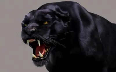 Картинка Черная пантера 3D » 3d картинки » Картинки 24 - скачать картинки  бесплатно