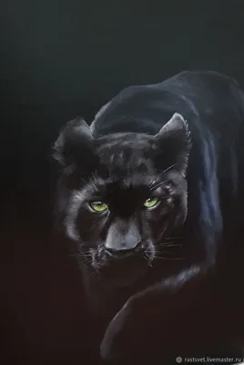 Красивая черная пантера с зелеными …» — создано в Шедевруме