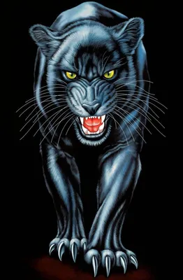 Рисунок черной пантеры - 76 фото