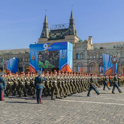 Знамя Победы - История - Каталог статей - 117 отдельный разведывательный  батальон