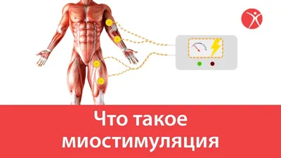Паравертебральные мышцы | Мышцы глубоко слоя | Самостоятельный массаж |  Григорий Перевезенцев - YouTube