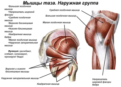 Поражения периферической нервной системы - Центр физической реабилитации и  спортивной медицины EzraMed Clinic