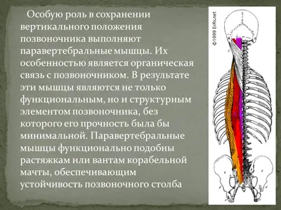 Фибромиалгия: причины, симптомы и лечение в Москве в ФНКЦ ФМБА