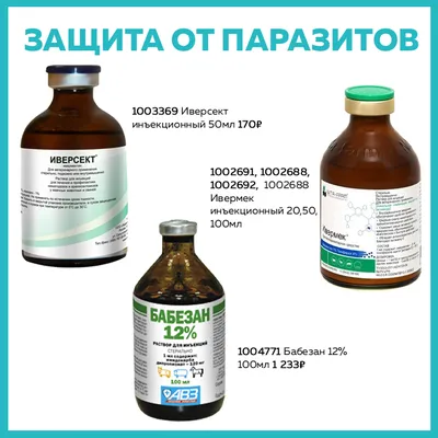 Премикс для лошадей Sport Horse - Horse health line 300 г - ТОО КазВетСнаб