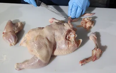 Черви (?) в курином мясе | Пикабу