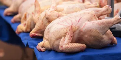 Какие части курицы нельзя есть из-за множества вредных бактерий -  07.11.2020, Sputnik Кыргызстан