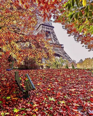 Париж осенью - 63 фото