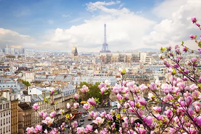 Фото Париж Эйфелева башня Франция весенние Города Цветущие деревья