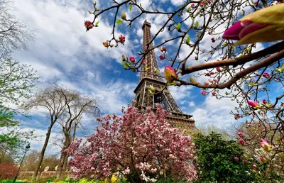 Париж в Марте 2023: погода, как отдохнуть? | Paris-Life.info