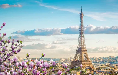 Обои небо, цветы, Франция, Париж, весна, Эйфелева башня, цветение, магнолия  картинки на рабочий стол, раздел город - скачать