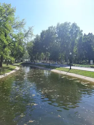 Парк Юрия Гагарина (детский парк культуры и отдыха) в Самаре, ул. Советской  Армии, 181В - фото, отзывы, рейтинг, телефон и адрес