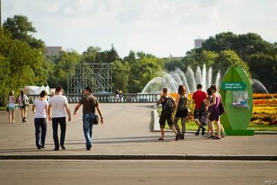 Парк Горького, Москва - «Мое место силы. Люди, которым не нравится Парк  Горького - мои личные враги (шутка). Видели пальмы в Москве? 🌴 А ведь  здесь они есть!» | отзывы