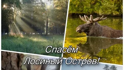 Экоэлектричка. Поход через Лосиный остров!