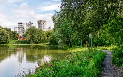 Национальный парк Лосиный остров 2024, Москва. Официальный сайт, адрес,  фото, карта, как добраться, отели рядом — Туристер.Ру