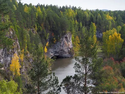 Природный парк Оленьи ручьи - экскурсия по выгодной цене с отзывами на  FindGid