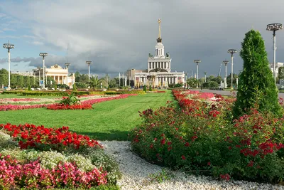 Фотографии Москва Россия VDNKh Природа Парки газоне Дома Кусты