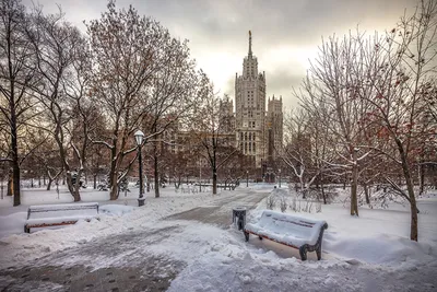 Фото Москва Россия Зима Снег Парки Скамейка Города Деревья