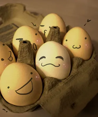 Прикольные картинки про яйца (46 фото) » Юмор, позитив и много смешных  картинок