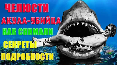 Стивен Спилберг жалеет, что его «Челюсти» ударили по популяции акул | КиноТВ