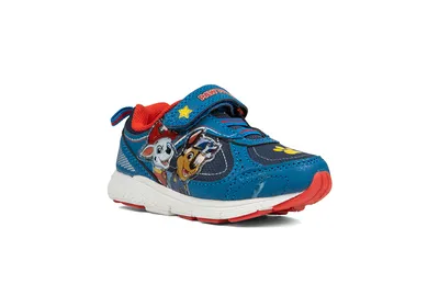 Paw Patrol Converse Shoes – Hallwayz Designs