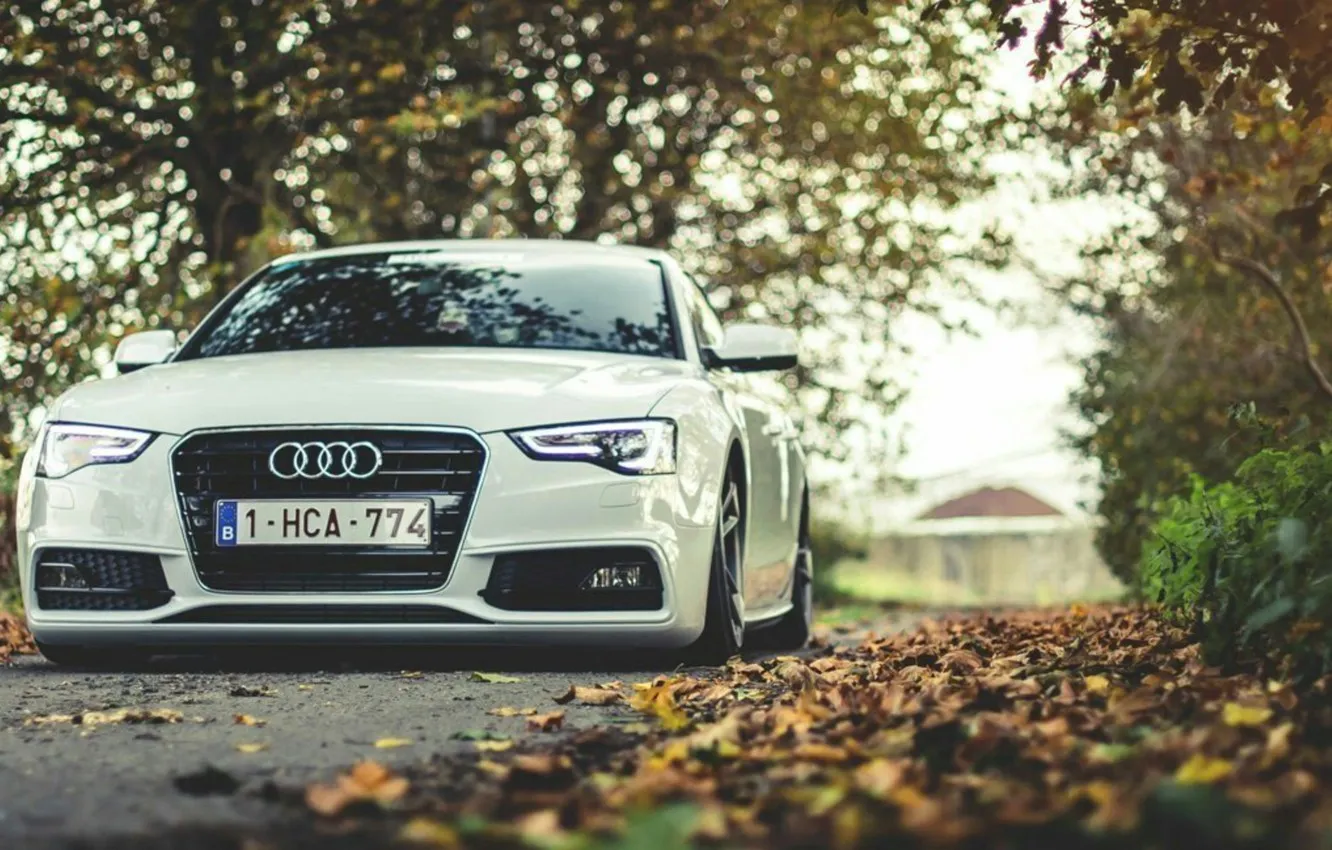 Audi a4 4