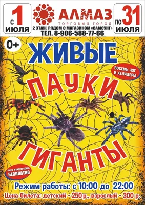 Выставка живых пауков пройдет в Челябинске | Культура | АиФ Челябинск