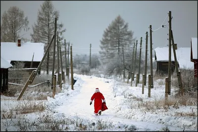 Лучшие фотографии России 2008-2011 гг.