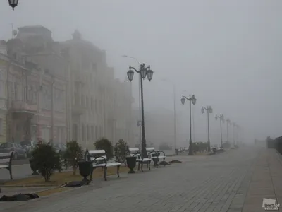 В пожаре на Малой Бухарестской никто не пострадал, жильцы дома переждали ЧП  в автобусе — Мегаполис