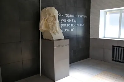 Однажды в Новосибирске: говорящий шкаф, ночь в музее и механизм памяти