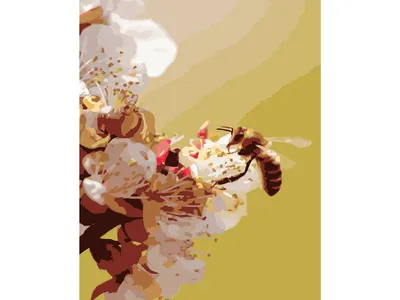 Купить Набор для росписи по номерам Пчела на цветочке 40х50 см. Strateg  GS212 недорого