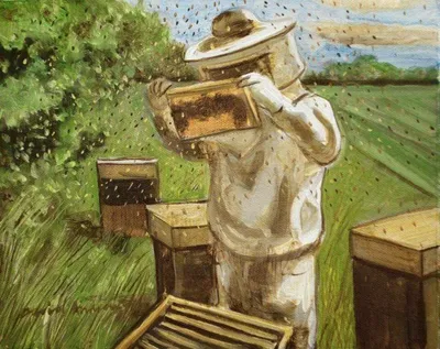 Пчеловод картинка - 75 фото