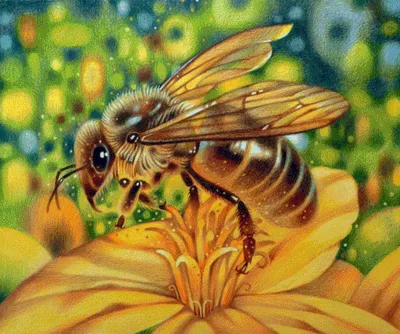 Пчеловод прикол фотографии